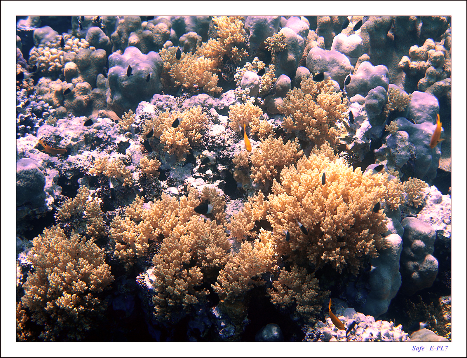 Hurghada - Juillet 2021 - 087